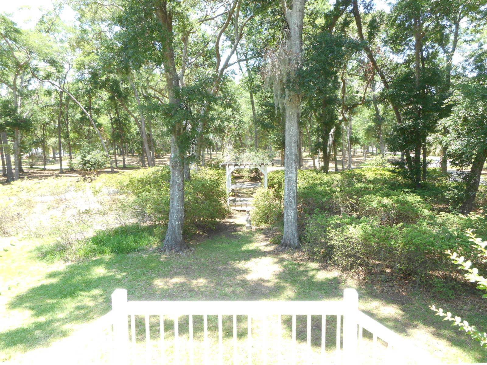 8952 Palmetto Road Edisto Island, SC 29438 - Photo 40 of 56 8952 Palmetto Road (2)