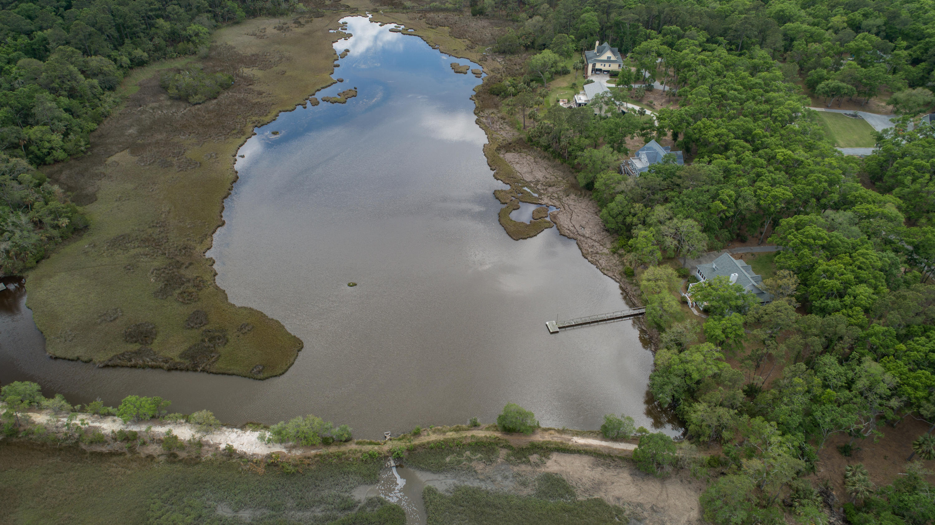 8952 Palmetto Road Edisto Island, SC 29438 - Photo 5 of 56 8952 Palmetto Rd drone (4)