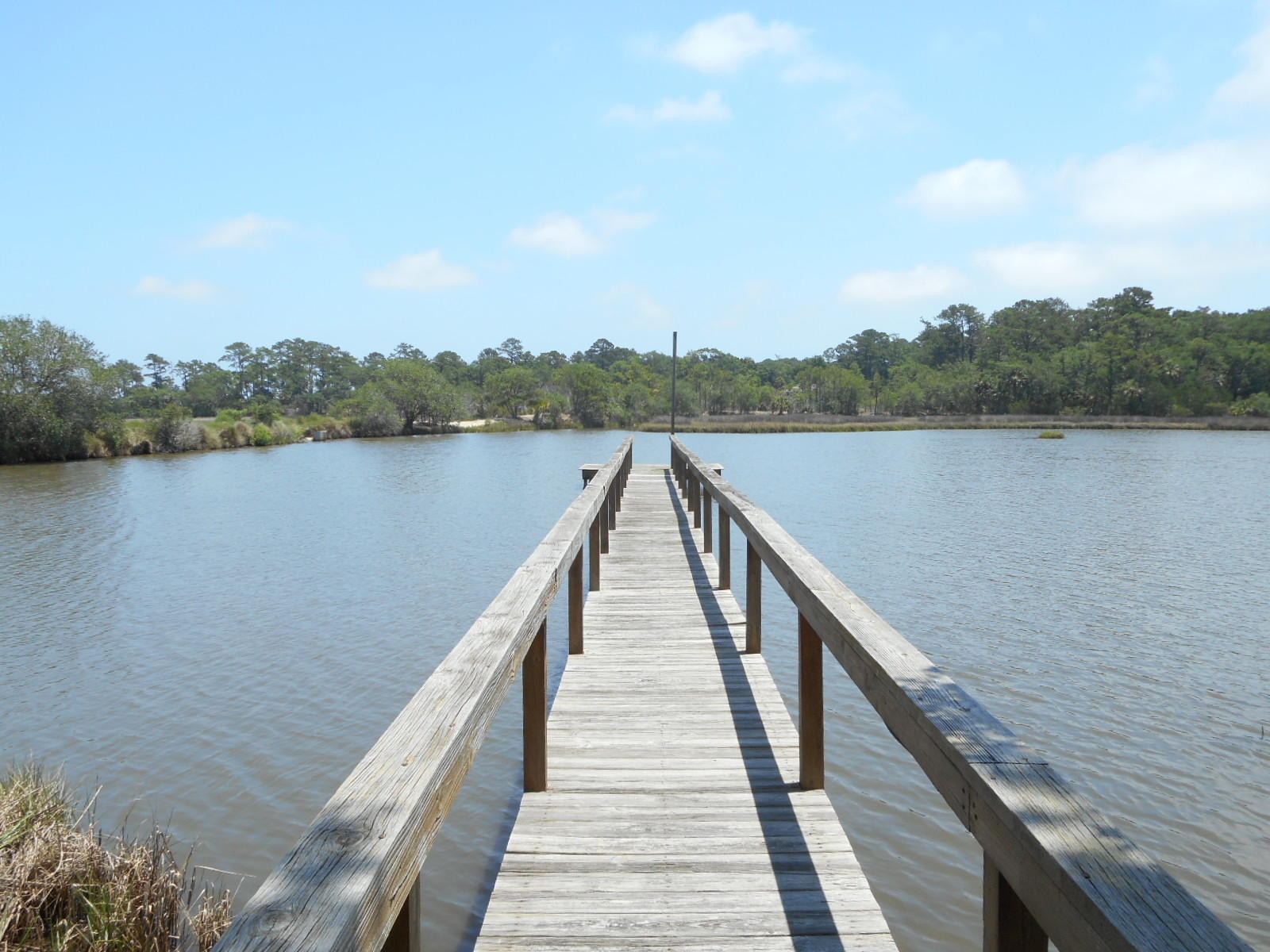 8952 Palmetto Road Edisto Island, SC 29438 - Photo 46 of 56 8952 Palmetto Road (9)