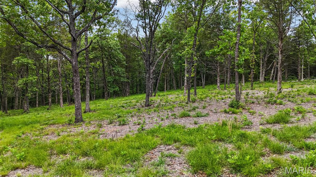 299 Whitetail Ridge Dittmer, MO 63023 - Photo 18 of 19