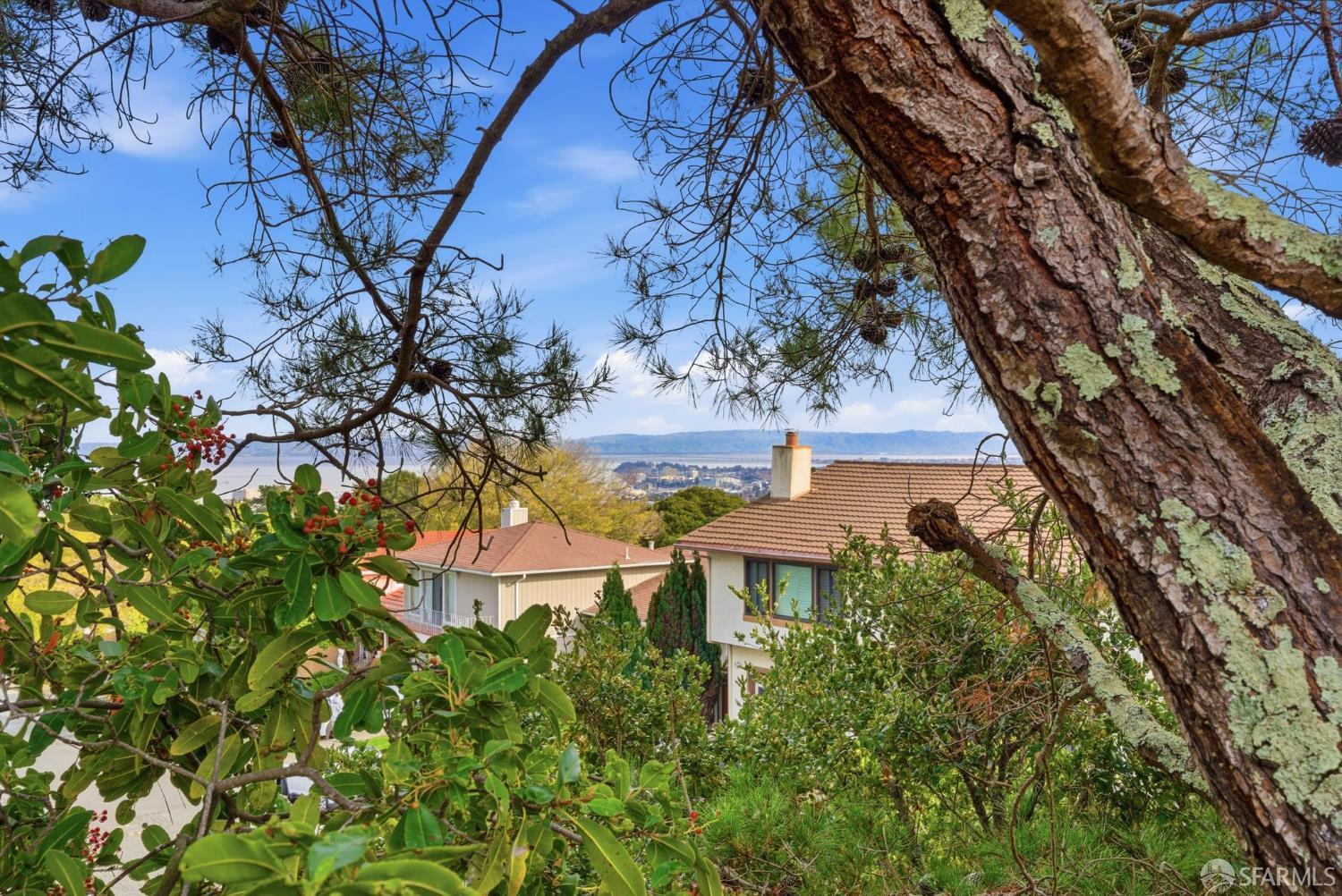 969 Springfield Drive Millbrae, CA 94030 - Photo 44 of 48 a house with lots of trees