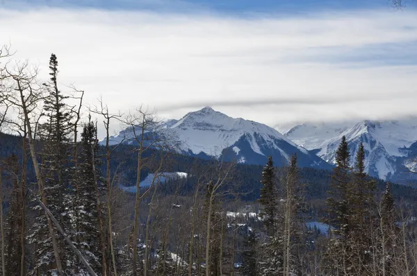 a view of a backyard with sitting area