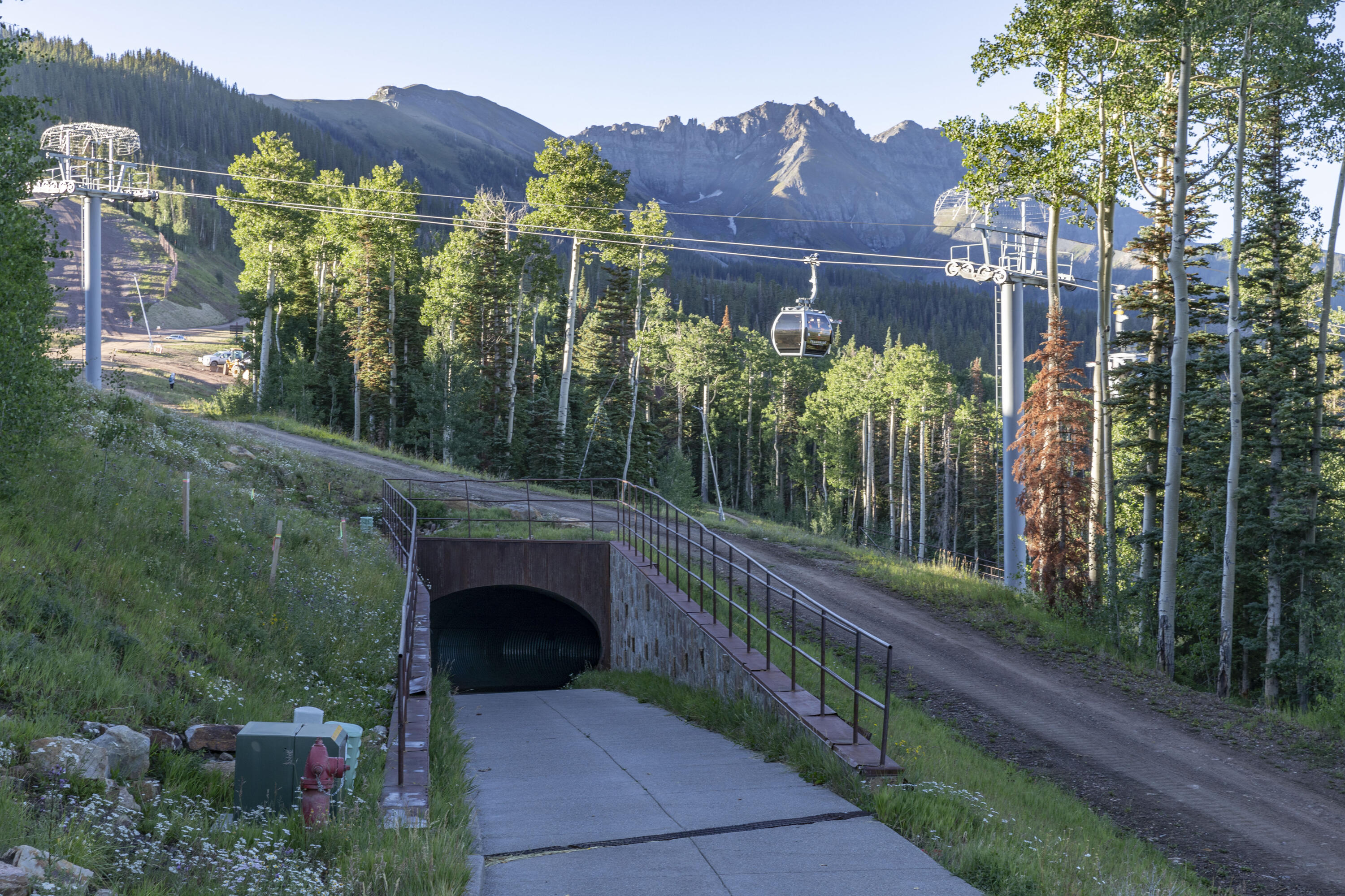 C-2 C-2 Tunnel Ln Mountain Village Telluride, CO 81435 - Photo 27 of 31 a view of a balcony with flower plants