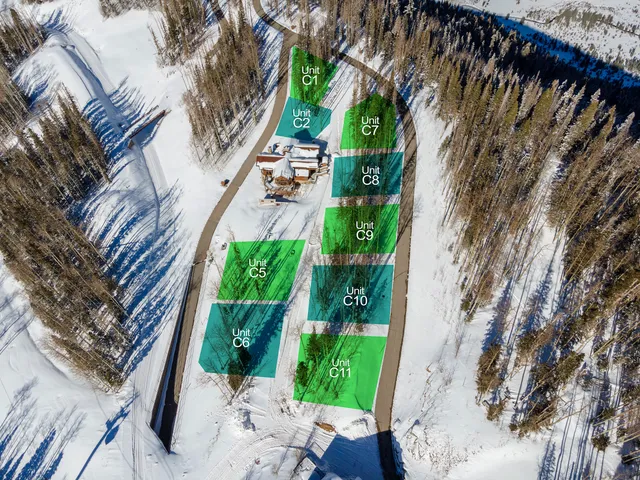a view of backyard with plants and outdoor seating