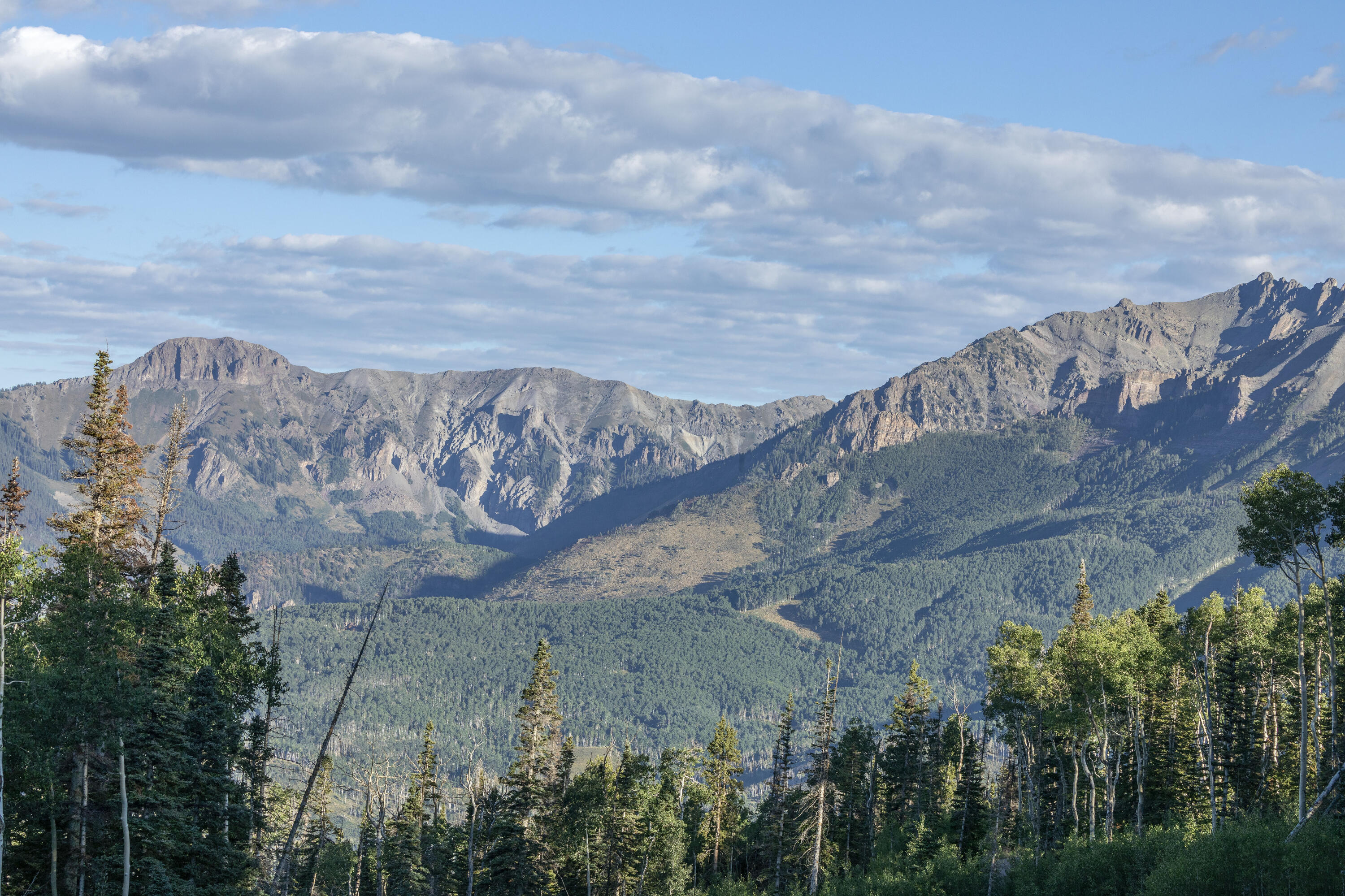 C-2 C-2 Tunnel Ln Mountain Village Telluride, CO 81435 - Photo 31 of 31 a view of a pathway both side of building