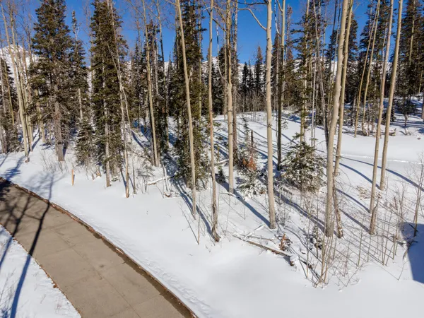 a view of a city with large trees
