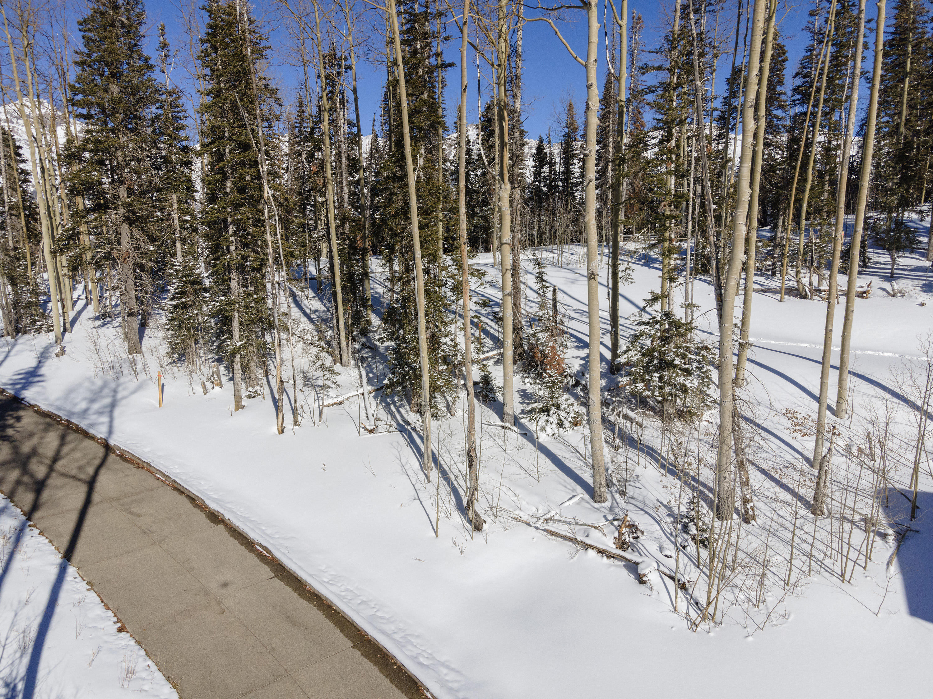 C-2 C-2 Tunnel Ln Mountain Village Telluride, CO 81435 - Photo 4 of 31 a view of a city with large trees