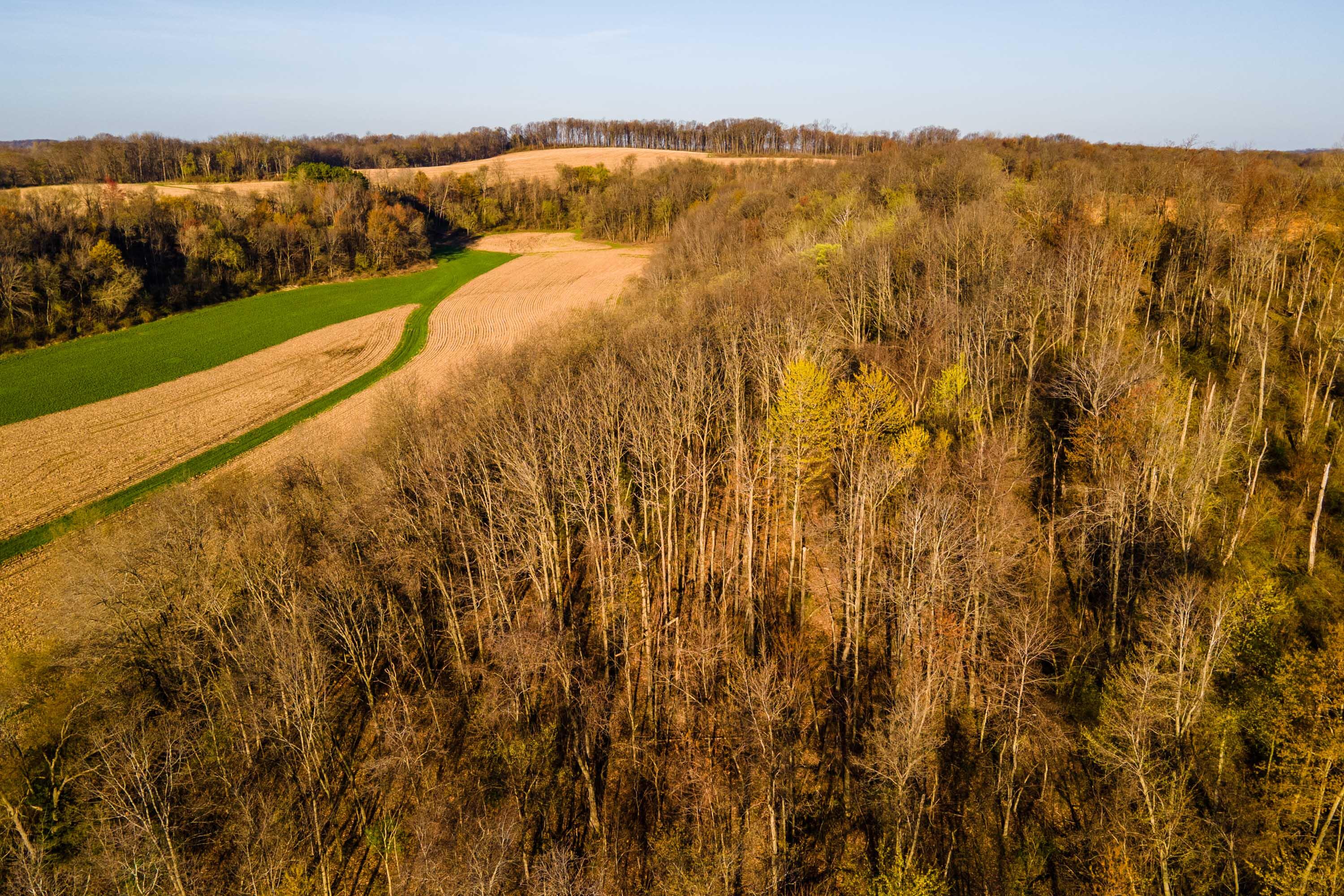 Lt2 Eli Valley Road Hillpoint, WI 53937 - Photo 27 of 47 Sauk-County-WI-53-Acres-Land-For-Sale-27