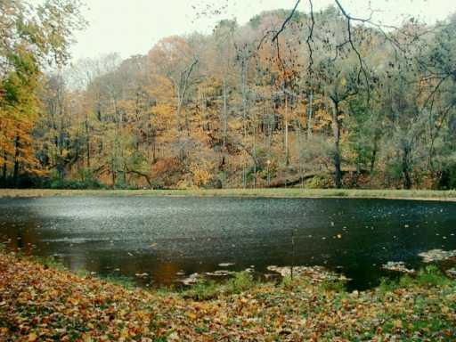 989 Old Mill Road Cheswick, PA 15024 - Photo 3 of 3 Gallery Image 3