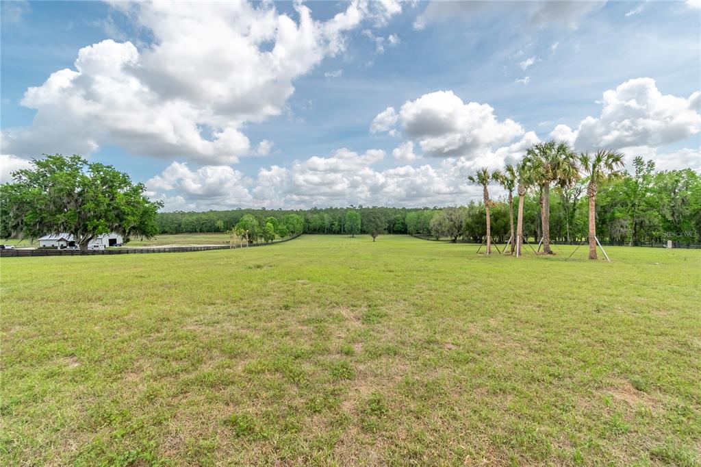 329 Reddick Reddick, FL 32686 - Photo 8 of 26