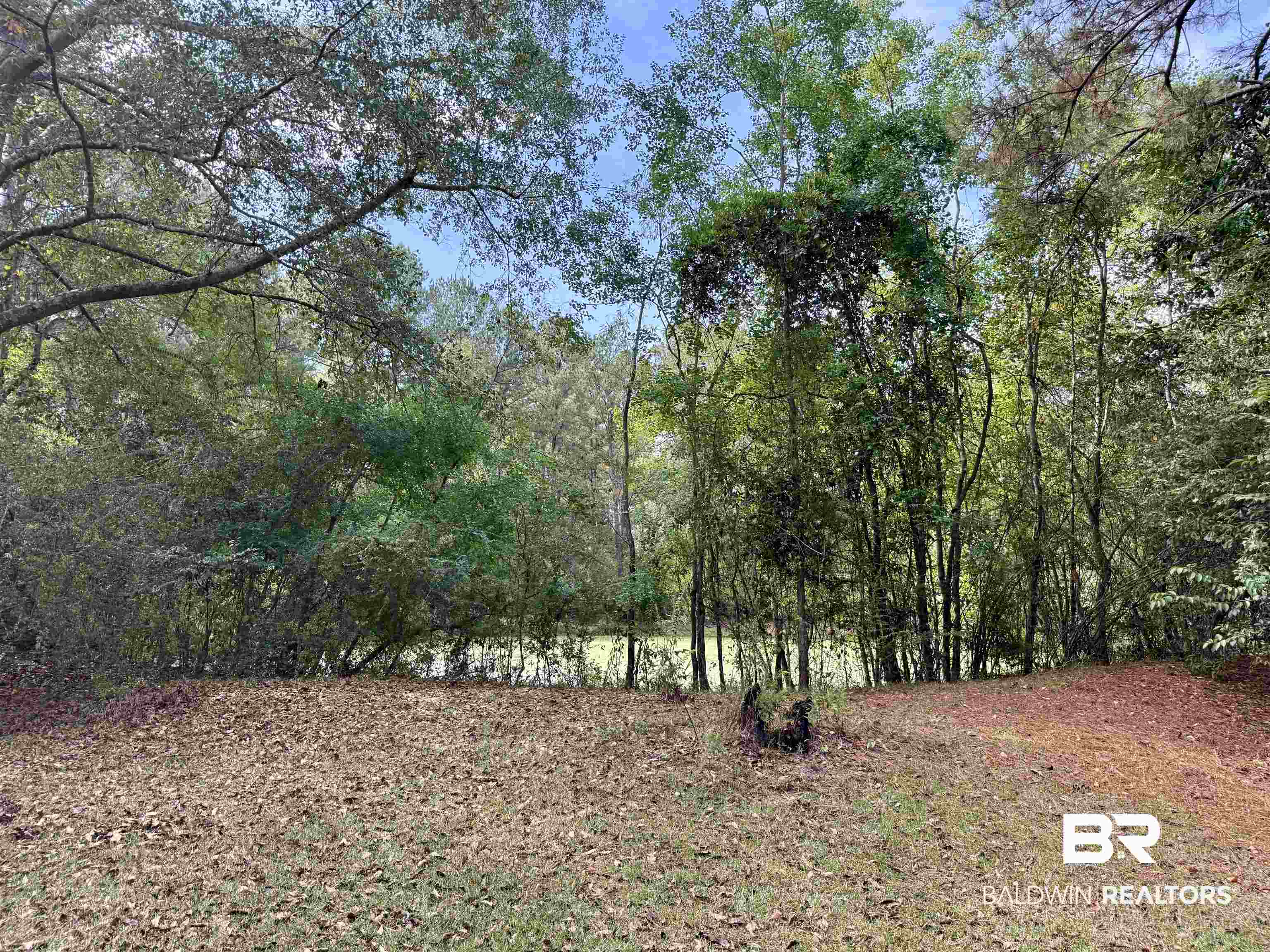 826 West Side Road Castleberry, AL 36432 - Photo 34 of 34 View of yard featuring a wooded view