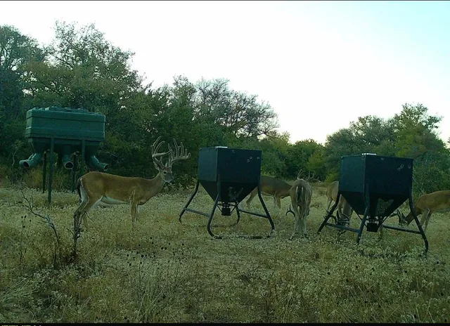 a view of a table and chairs in the garden