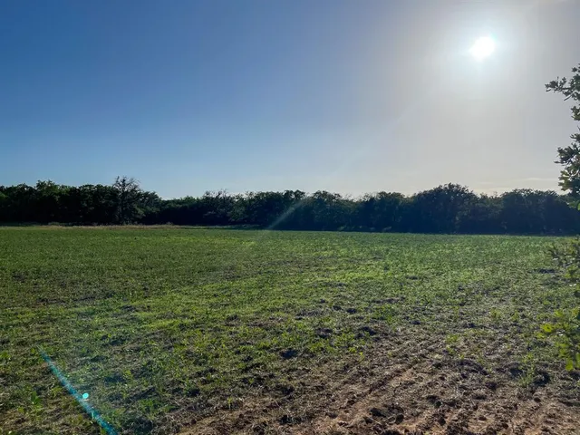 a view of an outdoor space and a yard