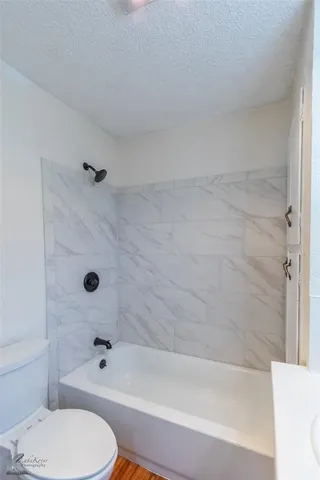 a bathroom with a toilet and a bathtub