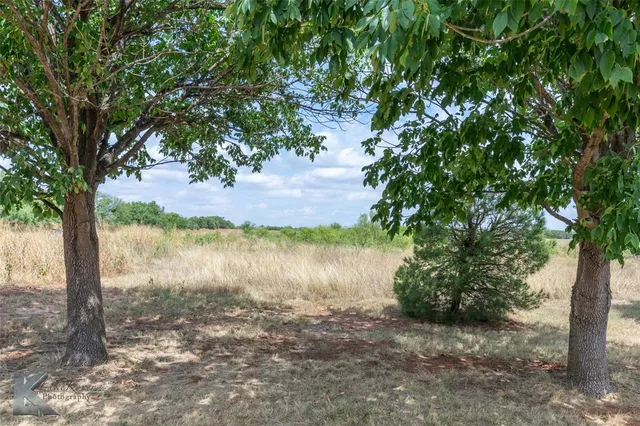 a view of lake with green space
