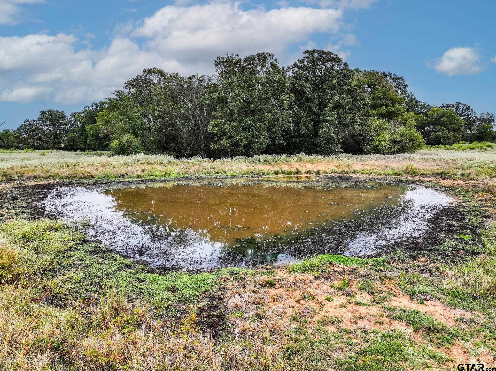 764 County Road 4315 Naples, TX 75568 - Photo 33 of 39 a view of a yard with an outdoor space