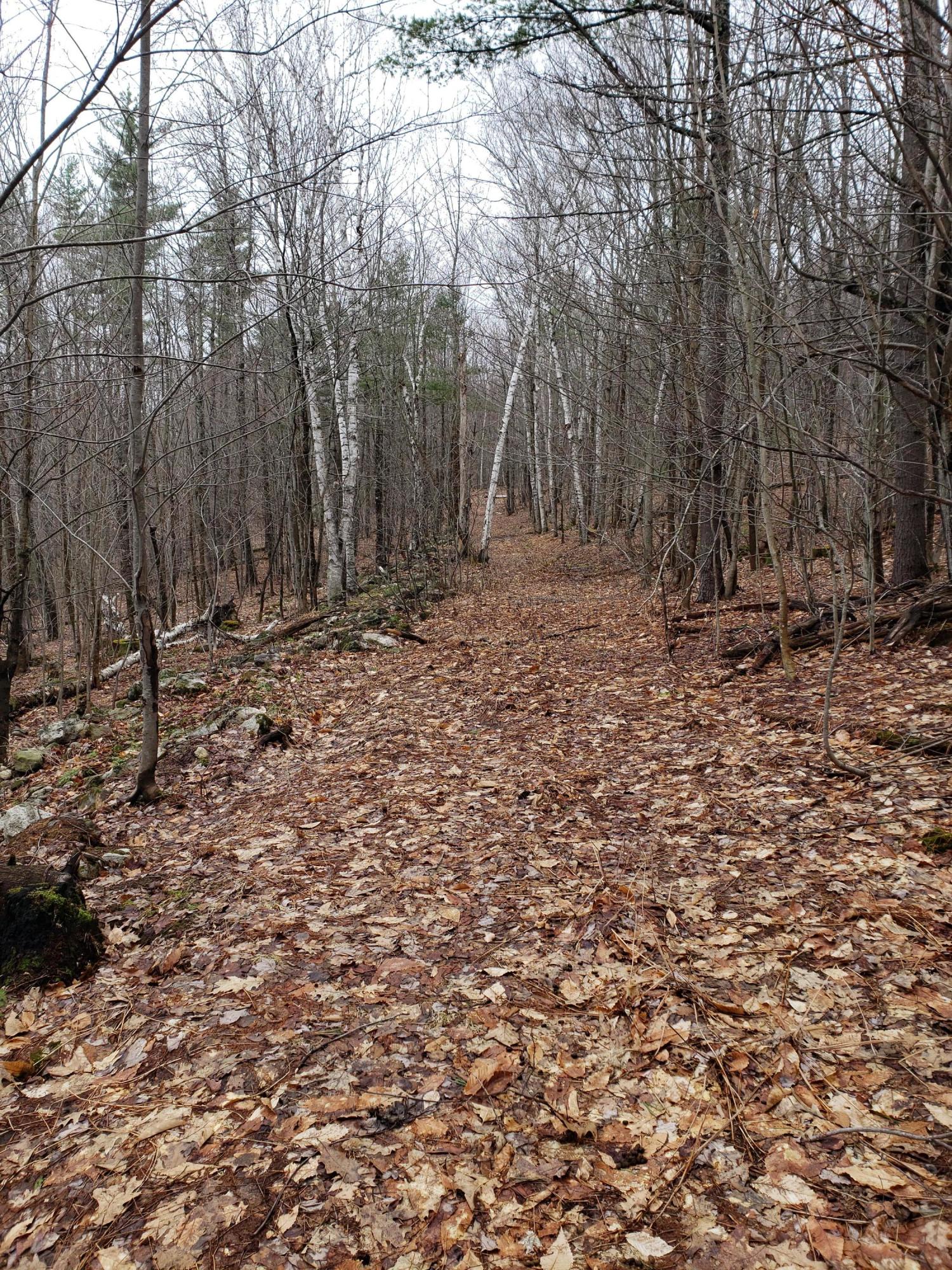 999 Coolidge Road Dixfield, ME 04224 - Photo 16 of 45 20190423_112505