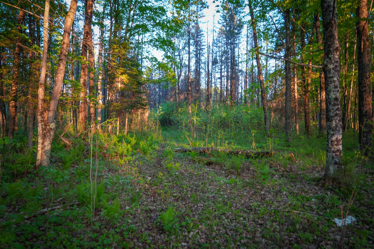 V/l V/l 33rd Road Gladstone, MI 49837 - Photo 55 of 70