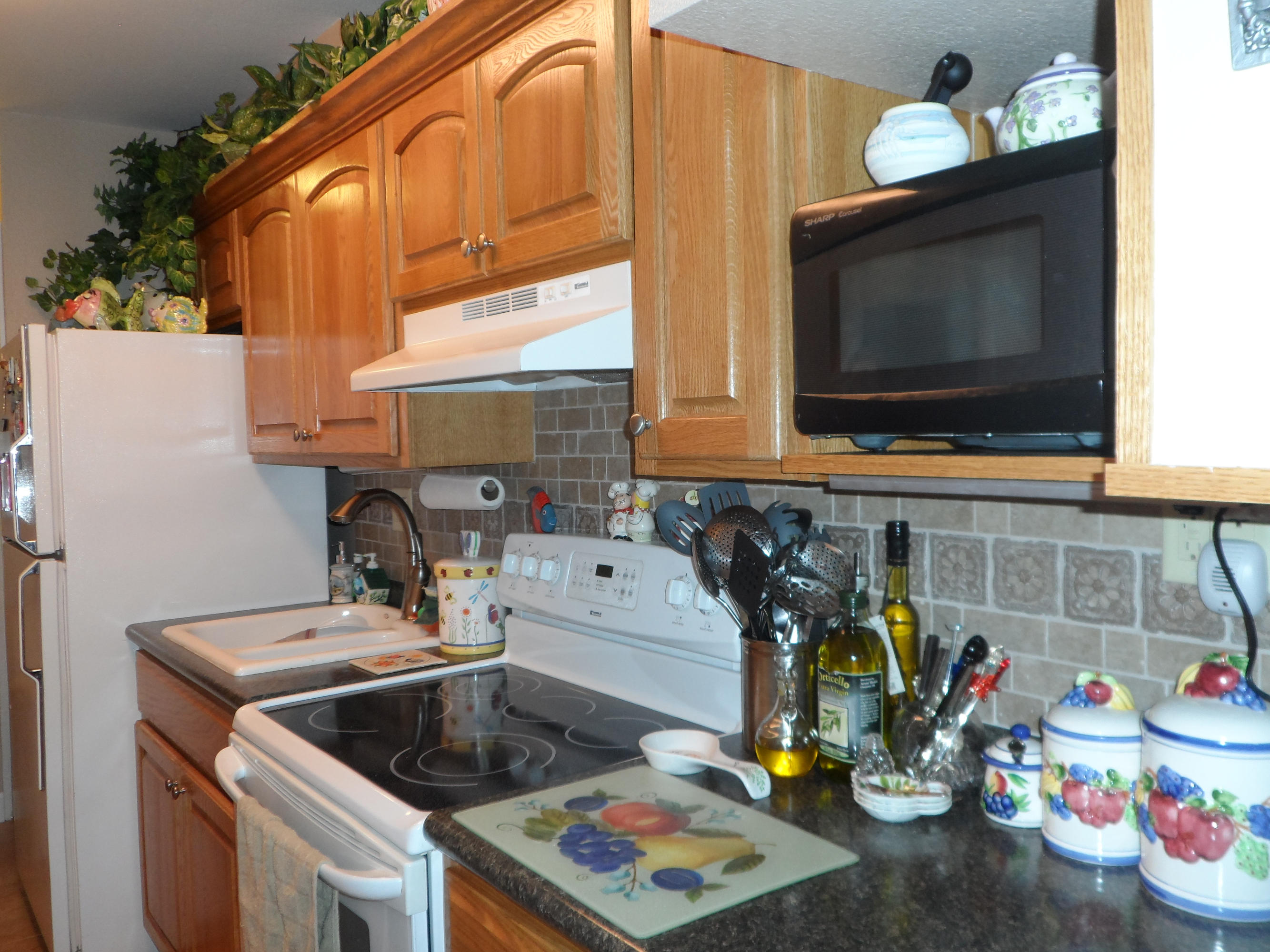 294 Huck N Toms Road Santa Rosa Beach, FL 32459 - Photo 27 of 35 Gallery Image 27