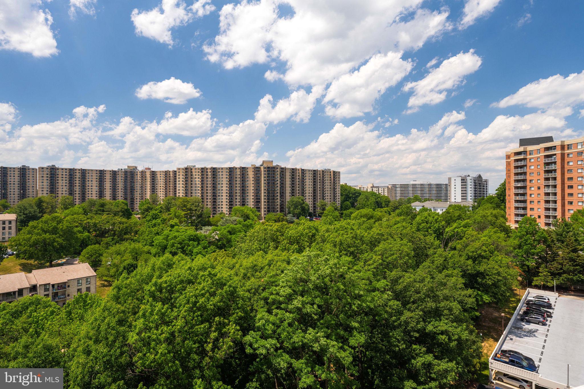 6101 Edsall Road, Unit 1212 Alexandria, VA 22304 - Photo 36 of 50