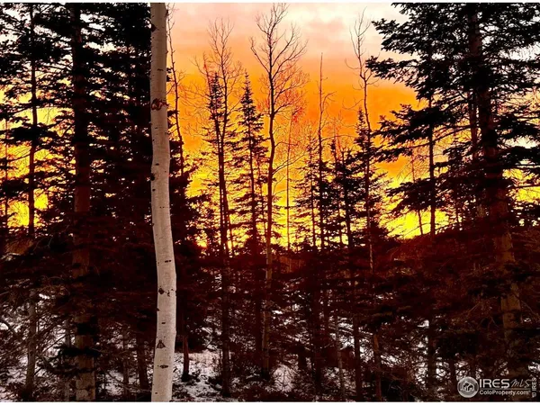 $624,900 | 3689 Ottawa Way, Red Feather Lakes, CO 80545