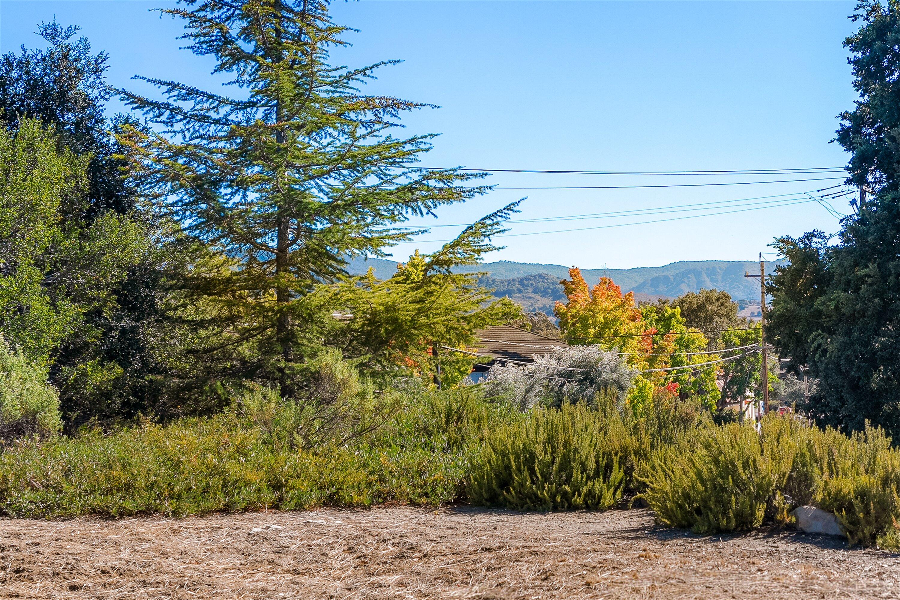 1999 Viborg Road Solvang, CA 93463 - Photo 9 of 13 a view of a yard