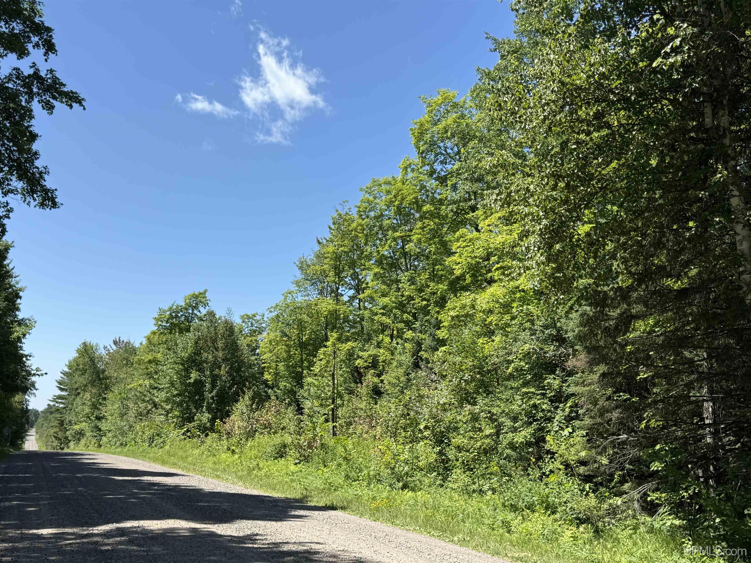 33.85-acres East Cable Lake Road Crystal Falls, MI 49920 - Photo 5 of 13