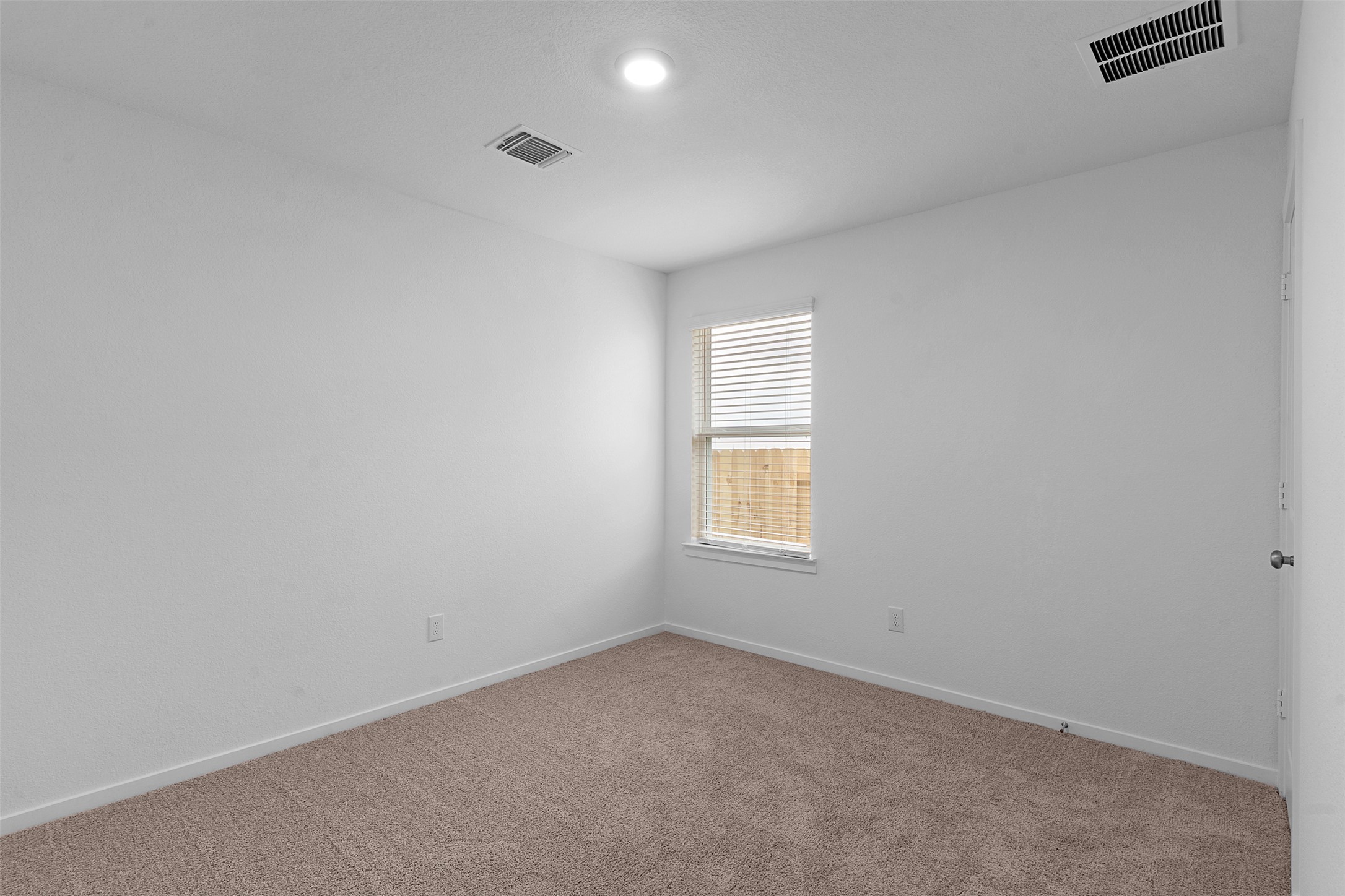 13721 Tucker Hedge Pass Elgin, TX 78621 - Photo 19 of 28 Carpeted spare room with baseboards