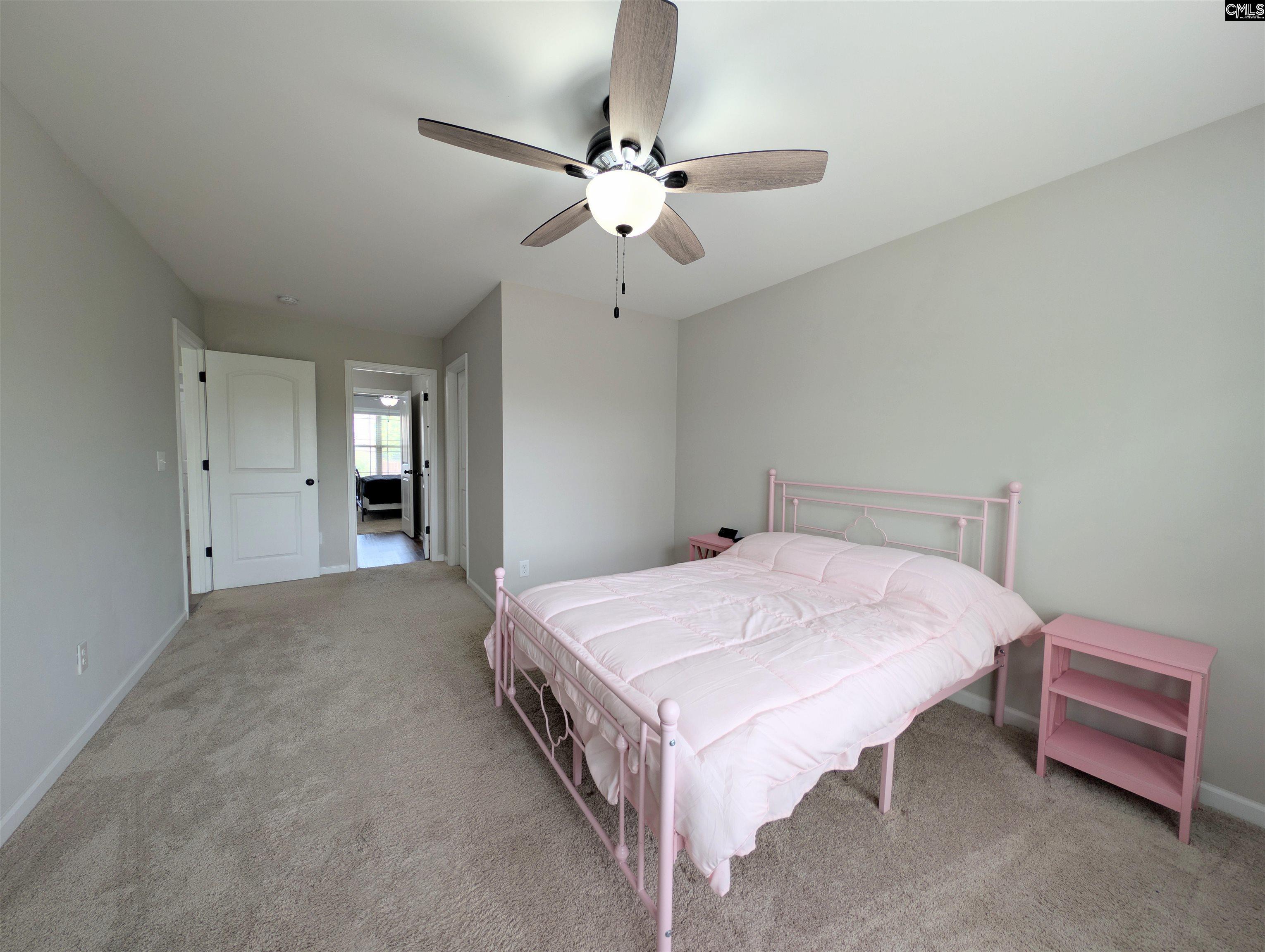 105 Tall Pines Road Chapin, SC 29036 - Photo 63 of 79