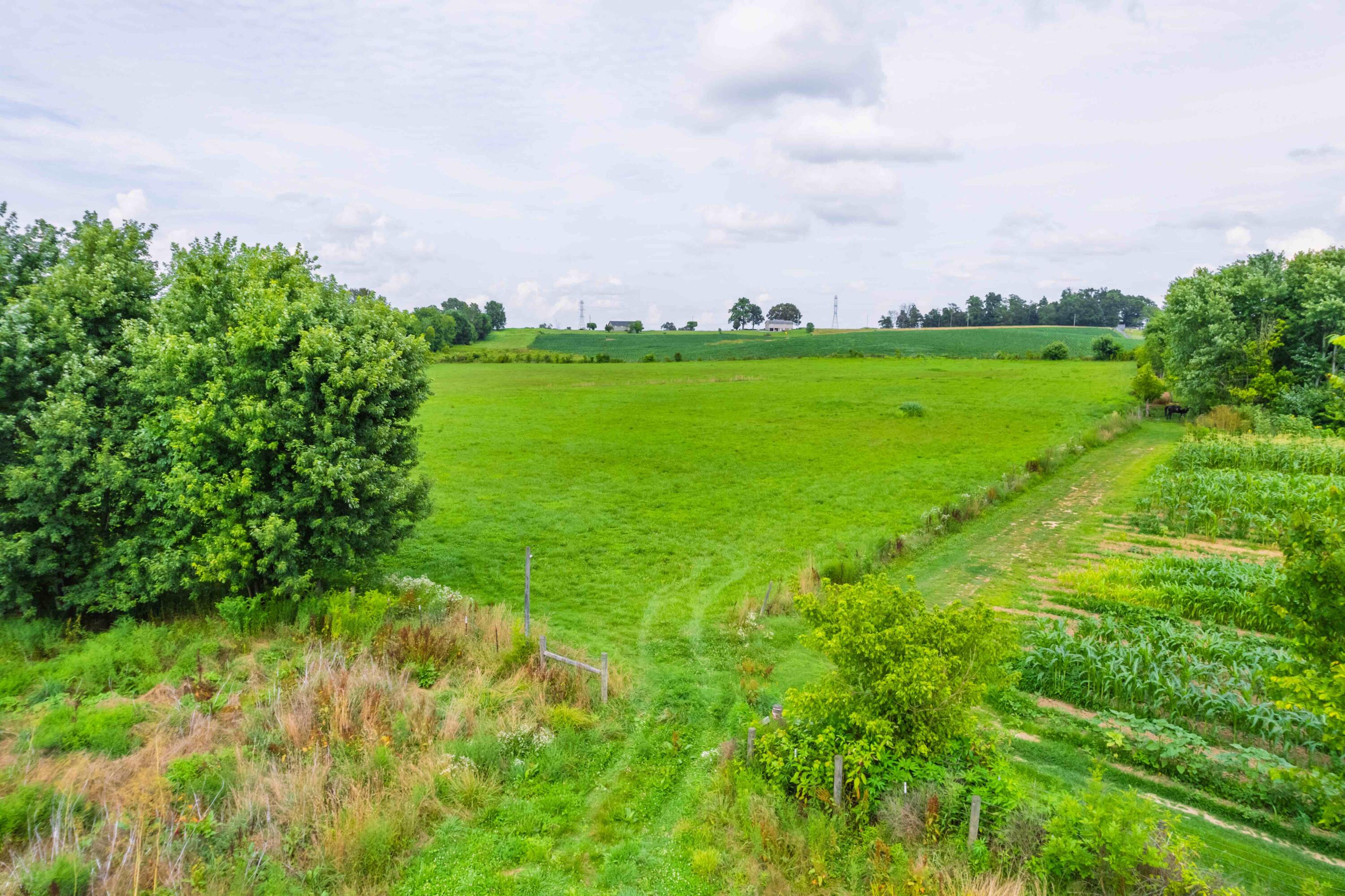 2040 Old Bull Road Eubank, KY 42567 - Photo 25 of 33 DJI_010825