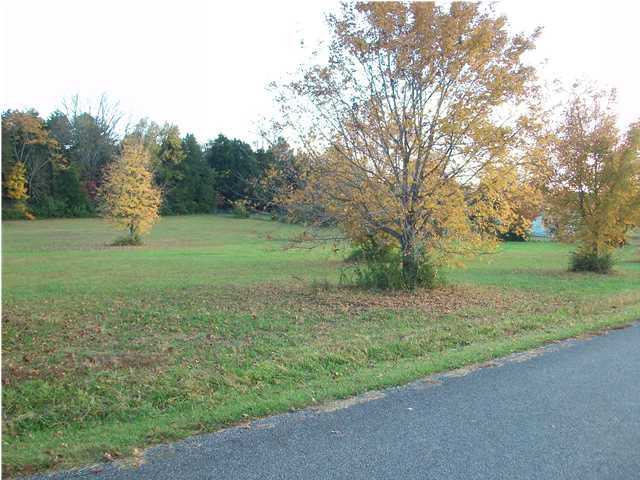 0 Riverview Lane, Unit 26 Decatur, TN 37322 - Photo 3 of 7 Additional Photo