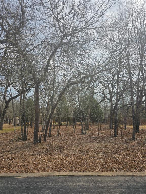 3347 Bandera Street Athens, TX 75752 - Photo 17 of 17 a view of outdoor space with trees