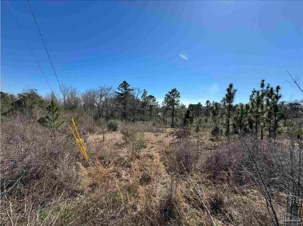 $42,500 | Lot 6 Will Jones Road, Jay, FL 32565