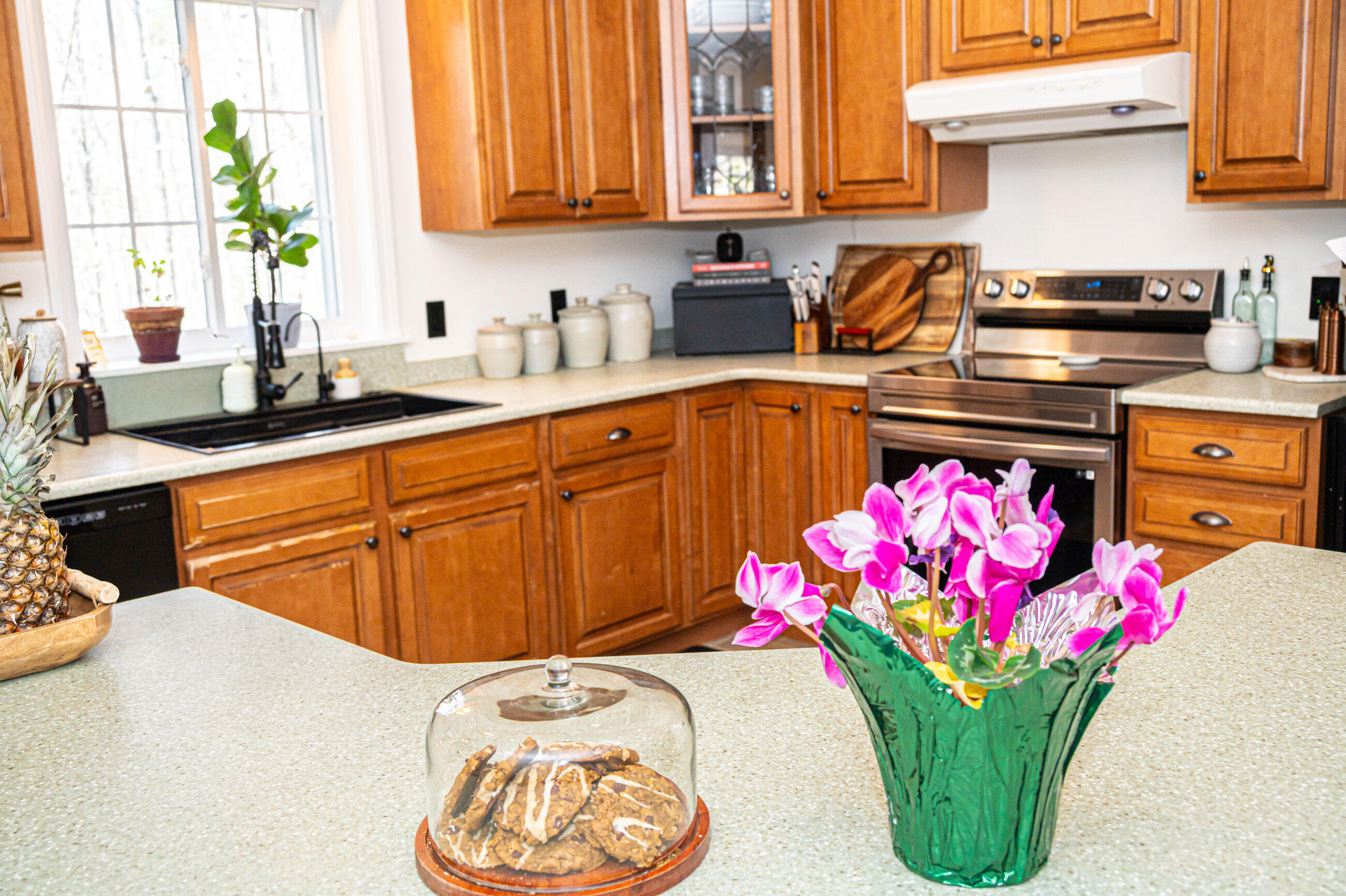 179 Egypt Road Raymond, ME 04071 - Photo 18 of 80 Kitchen-4051