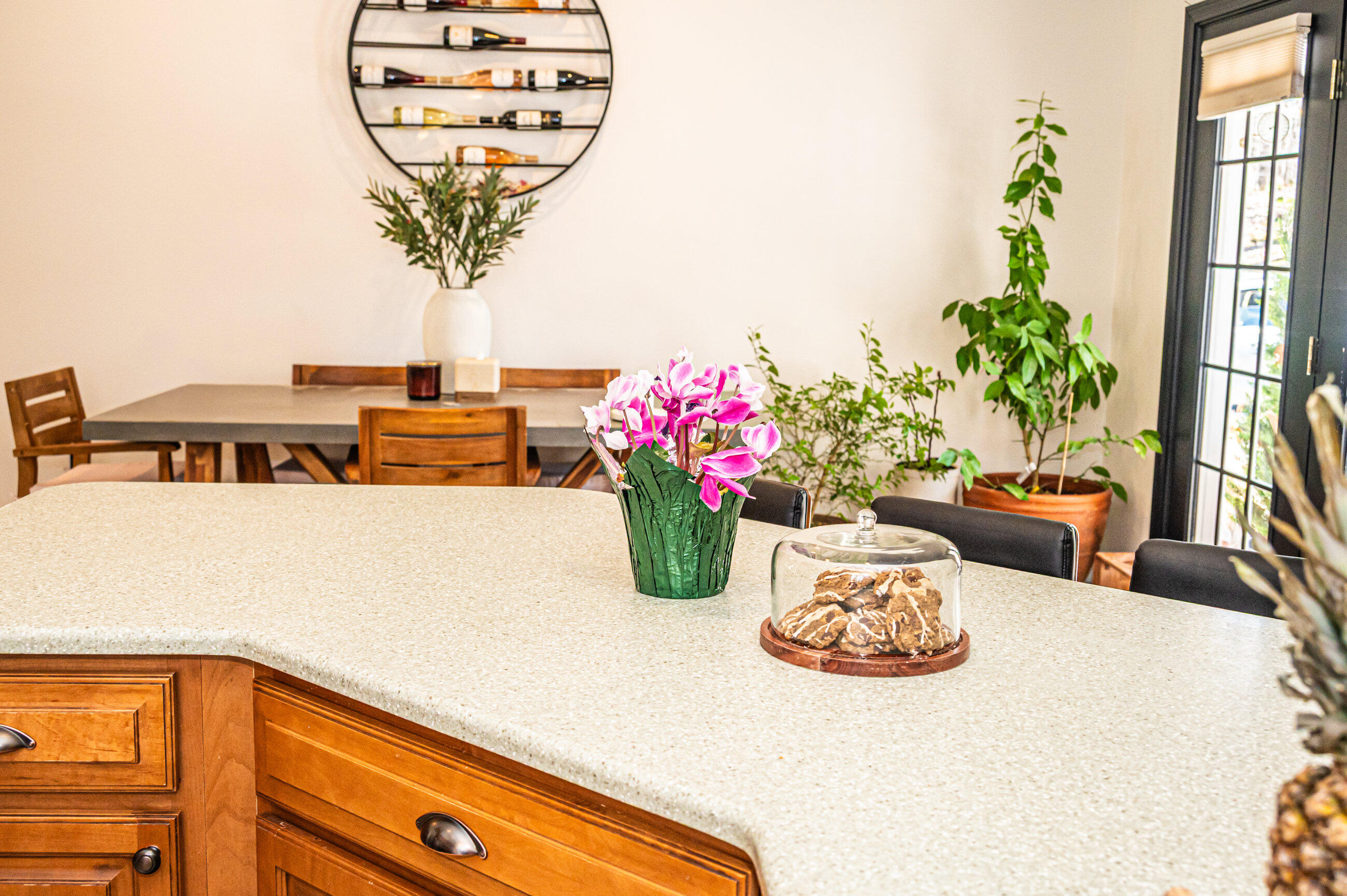 179 Egypt Road Raymond, ME 04071 - Photo 19 of 80 Kitchen-4053
