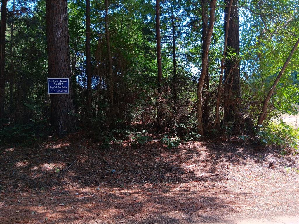 223 County Road 223 Carthage, TX 75633 - Photo 2 of 2 a view of a forest with trees