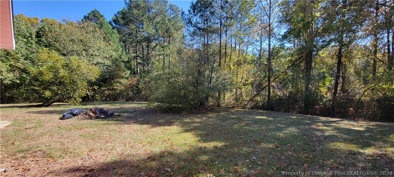 164 Azalea Drive Spring Lake, NC 28390 - Photo 3 of 25 Gallery Image 3