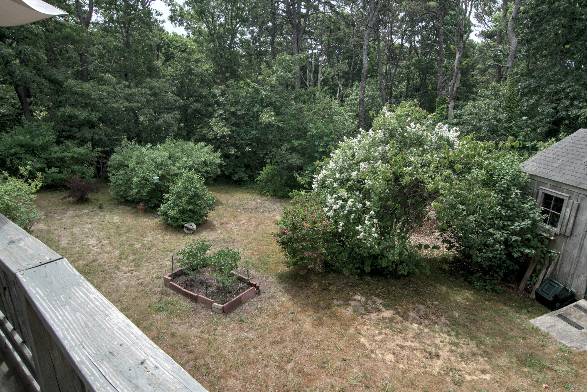 1285 Orleans-Harwich Road Harwich, MA 02645 - Photo 29 of 31 Exterior Rear 3