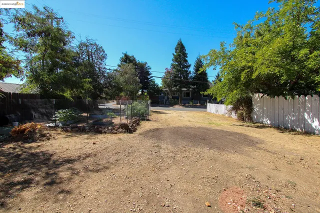 a view of a yard with a tree