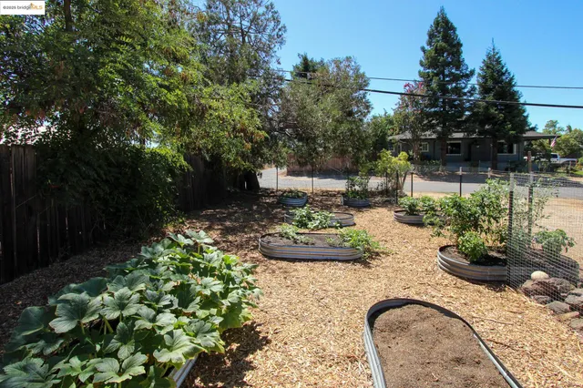 a view of a backyard with plants and patio