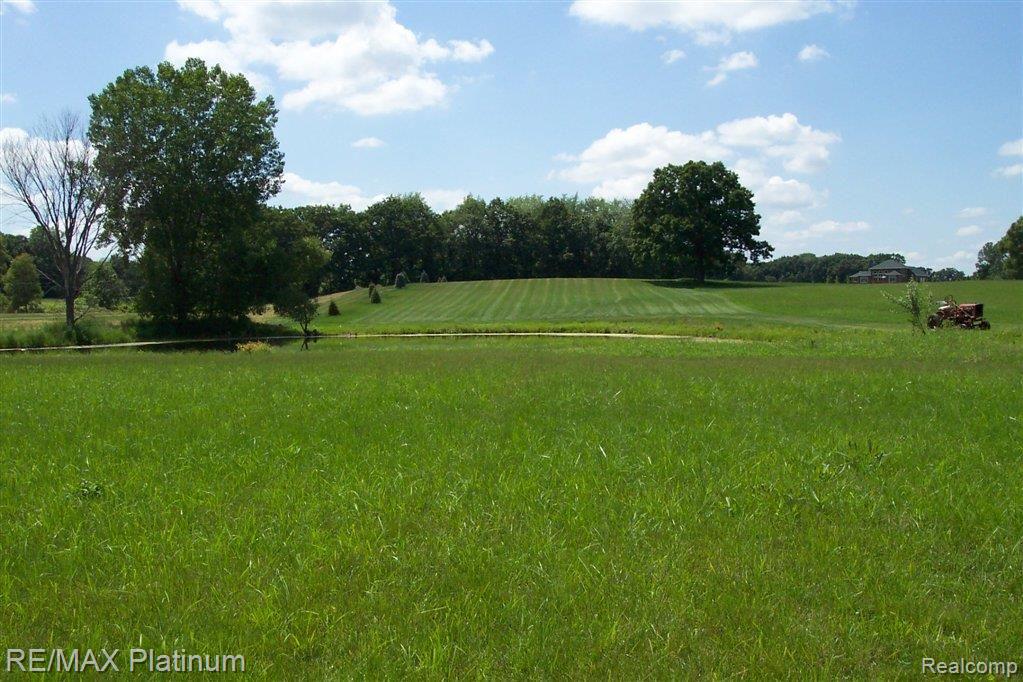 1201 Argentine Road Howell, MI 48843 - Photo 5 of 12 Argentine.JPG