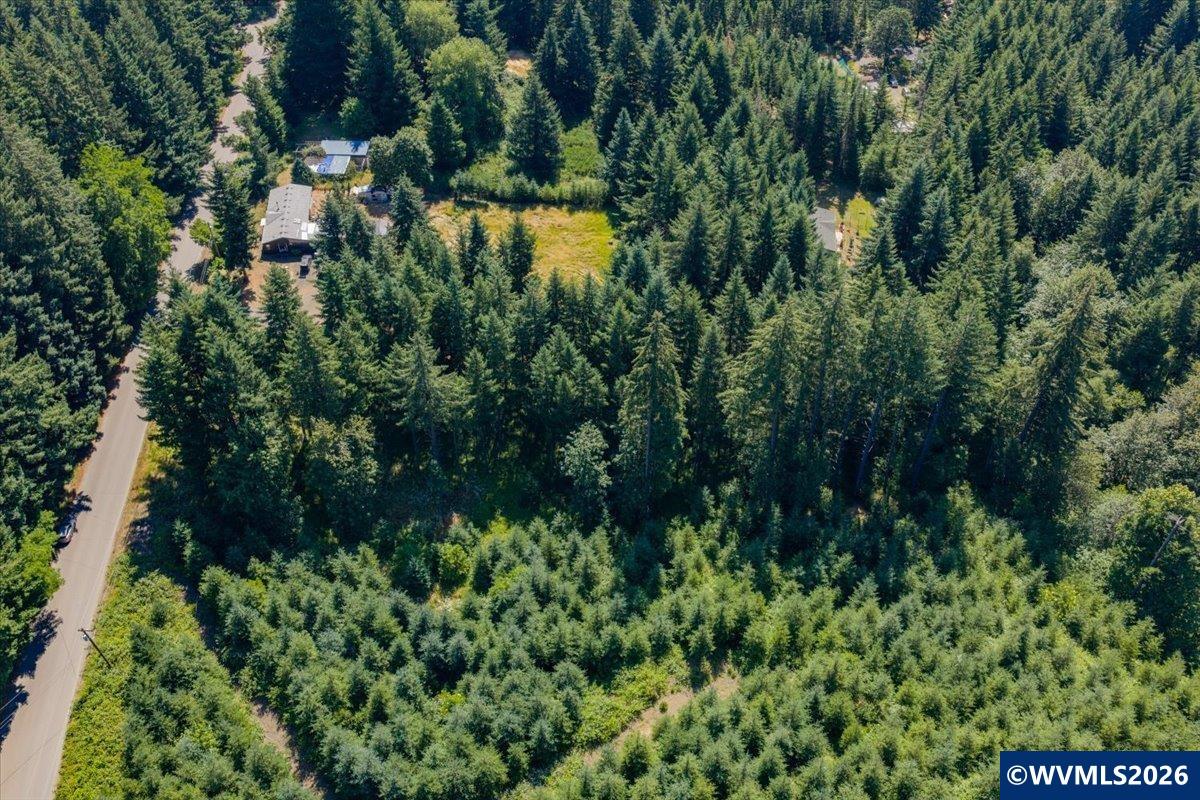432 Chamberlain Road Falls City, OR 97344 - Photo 7 of 26
