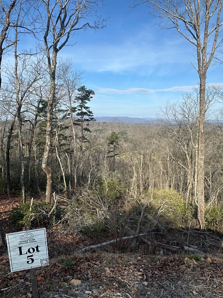 Lot 5 Blue Horizon Drive Blue Ridge, GA 30513 - Photo 11 of 18 Gallery Image 11