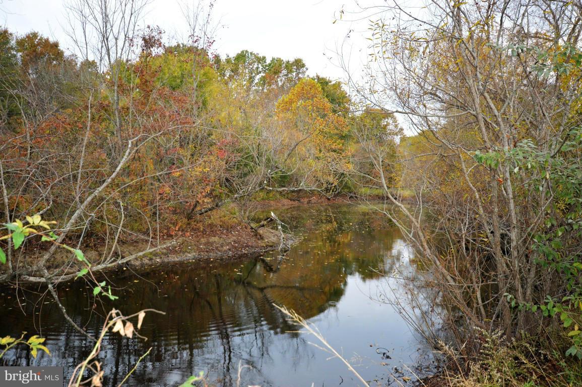 6018 Turner Road Broad Run, VA 20137 - Photo 3 of 6 Pond on Property
