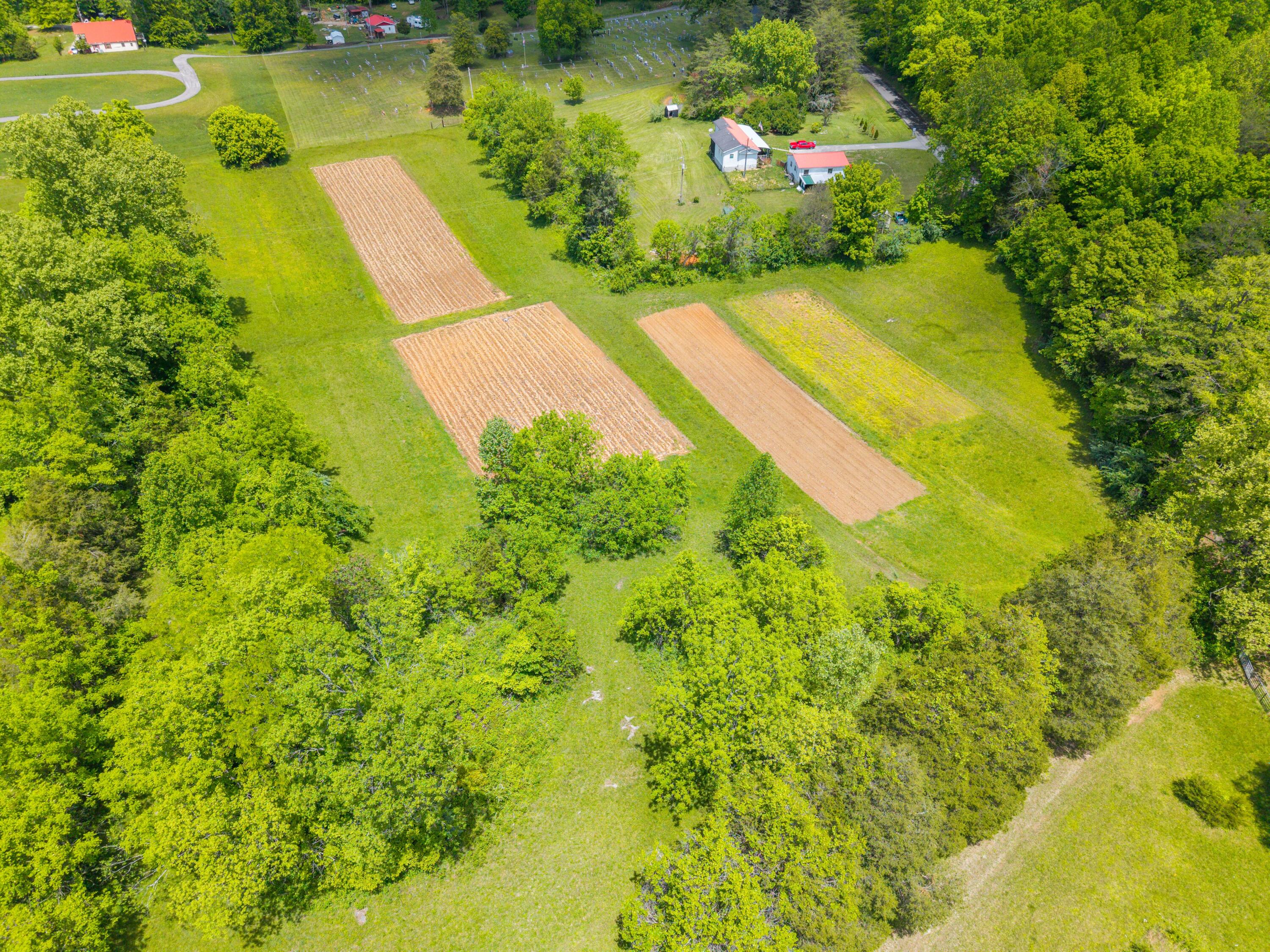 0 Sloans Valley Road Burnside, KY 42519 - Photo 3 of 38 Sloan Valley Land Photo-2