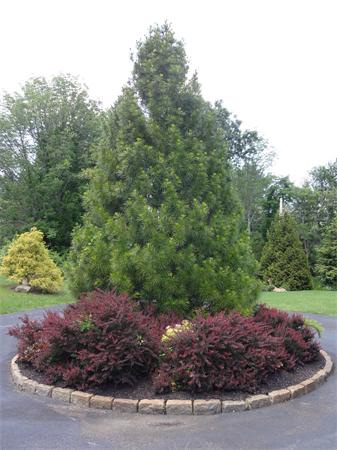 331 Pope Road Concord, MA 01742 - Photo 5 of 30