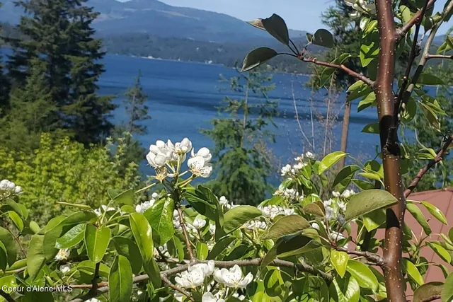 $2,495,000 | 865 East Pine Ridge Drive, Harrison, ID 83833