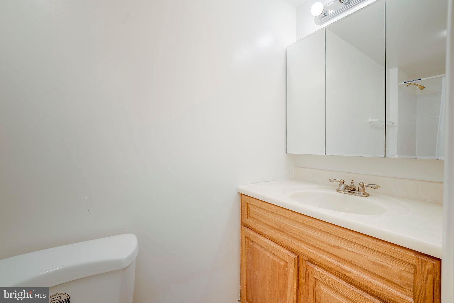 5219 Hillwell Road Baltimore, MD 21229 - Photo 25 of 44 2nd Bath (lower Level)