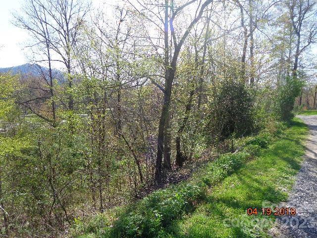 117 Flying Squirrel Ridge, Unit 1 2 3 Whittier, NC 28789 - Photo 1 of 1 a view of a forest with trees in front of it