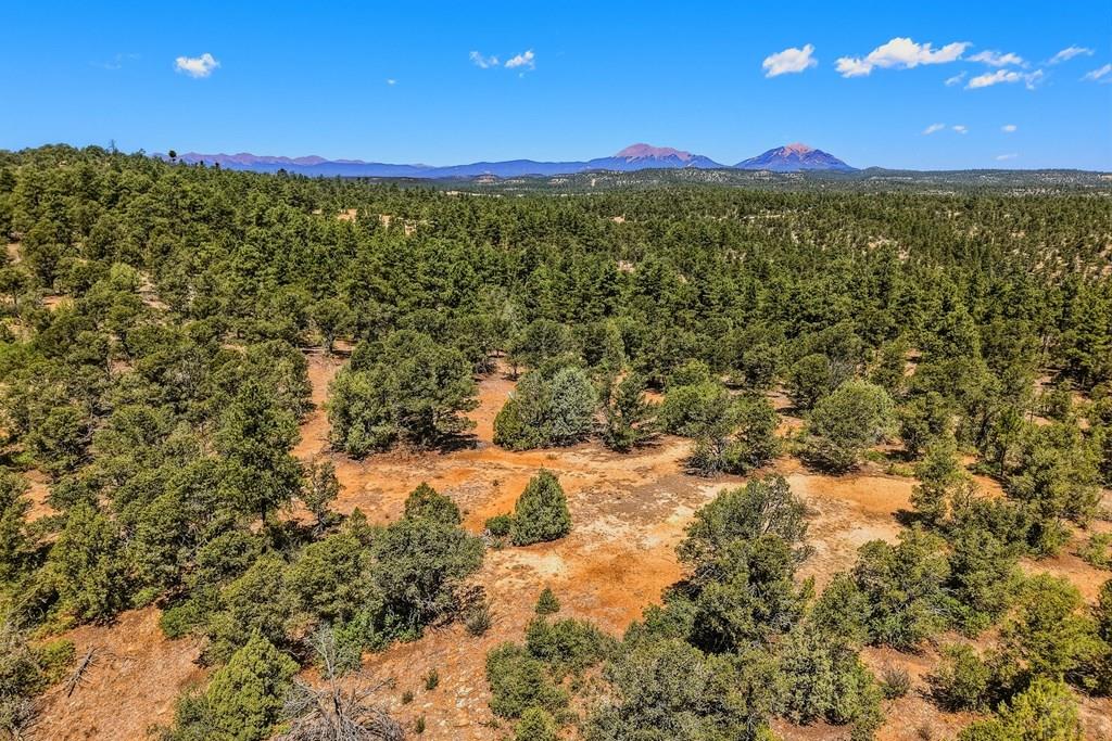 24900 County Road Boncarbo, CO 81024 - Photo 48 of 52